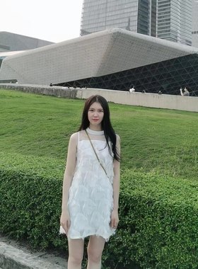 很仙女的羽毛蕾丝网纱雪纺连衣裙女2024夏季无袖背心网红款小裙子