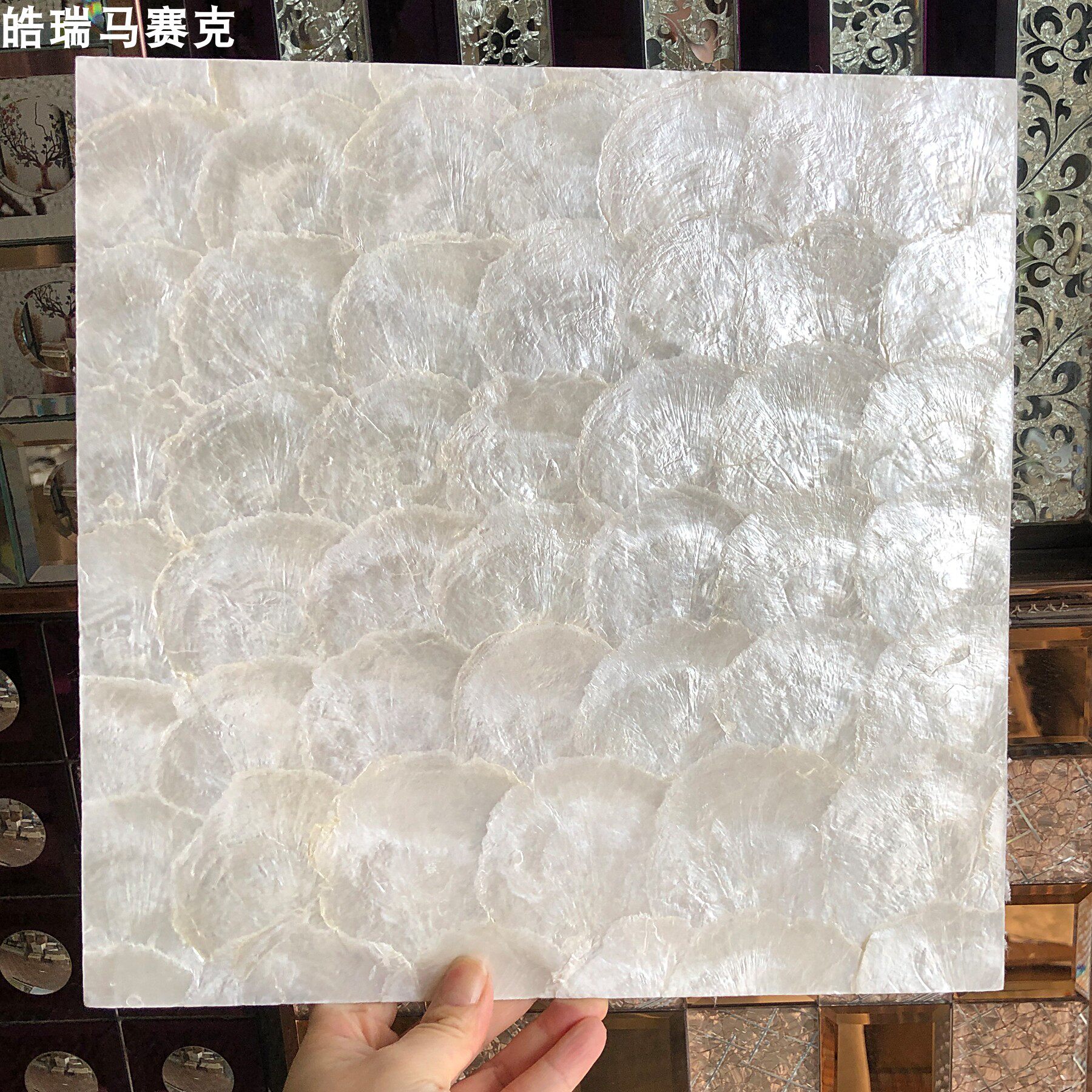 镜贝马赛克贝壳装饰板