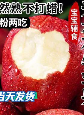 甘肃花牛苹果新鲜粉面沙甜