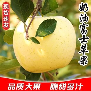 正宗甘肃天水花牛苹果奶油富士苹果当季新鲜水果白色苹果脆甜多汁