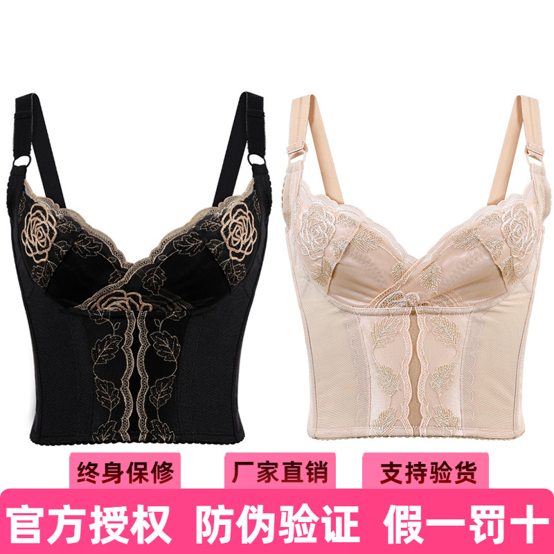 安提尼亚聚拢内衣文胸