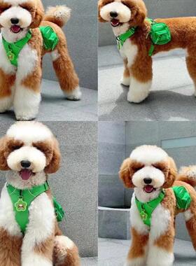黑白花巨贵长毛犬大泰迪犬家养活体宠物狗