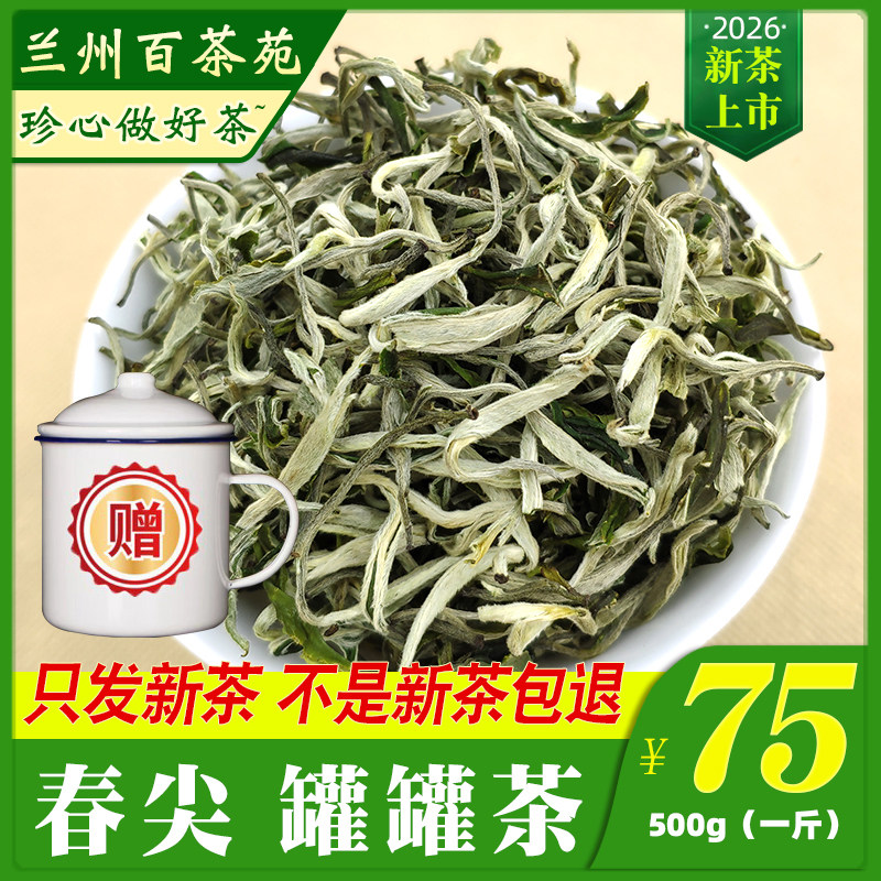 春尖茶叶2026年明前新茶甘肃临夏西北煮罐罐茶叶兰州耐泡散装500g