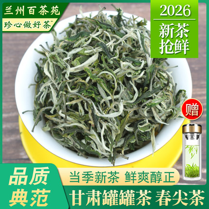 明前春尖茶叶2026新茶甘肃煮罐罐茶陕西宁夏回族西北生茶散装500g