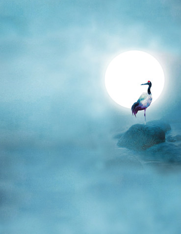 影楼摄影背景纸古装写真背景婚纱主题背景影棚拍照背景错金书