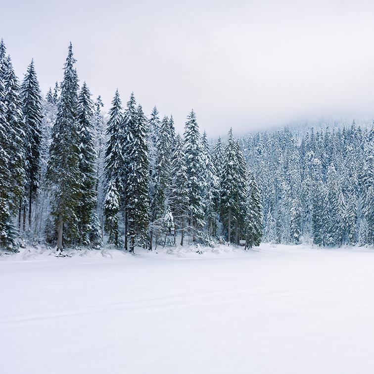 新款冬季雪景儿童成人摄影背景布