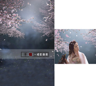 古装拍照主题背景 三生三世十里桃花 古风写真摄影背景布 刘亦菲