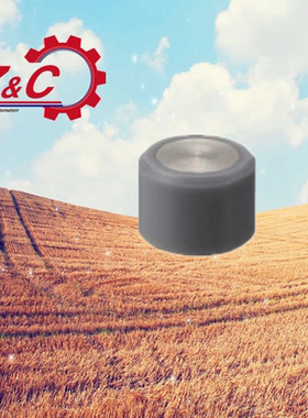 BMQ01-D5/6/8/10/12-L5/6/8/10聚氨酯包裹磁铁