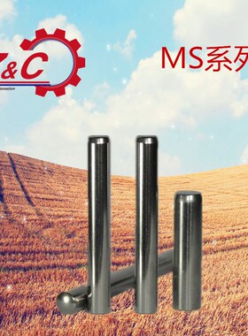 正公差直杆型定位销/实心销钉/圆柱销MS5-8/10/15/20/25/30/35
