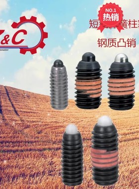 ZAP66-M4 弹簧柱塞短型弹顶销 定位销ZAP67-M4/M5/M6/M8/M10M/12