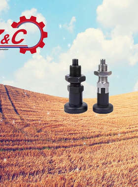 Y-LAC02-M6/8/10/12旋钮柱塞不锈钢Y-LAC06-M6/M810/M12/