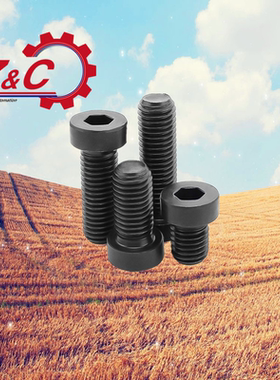 短头内六角螺栓 CBS10-16/20/25/30/CBS12-20/25/30