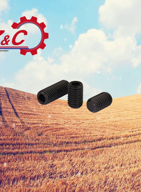 TAY01-M3-L3/4/5/8/-M4-L3/4/5/6/8/10 内六角紧定螺钉平端