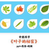 幼儿园中班科学 《叶子的秘密》 PPT教案视频优质公开课