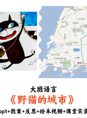 幼儿园大班语言《野猫的城市》PPT教案反思视频课堂实录公开课