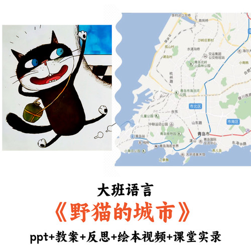 幼儿园大班语言《野猫的城市》PPT教案反思视频课堂实录公开课
