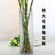 特大号圆形落地富贵竹花瓶摆件玻璃透明水养水培直筒家用客厅插花