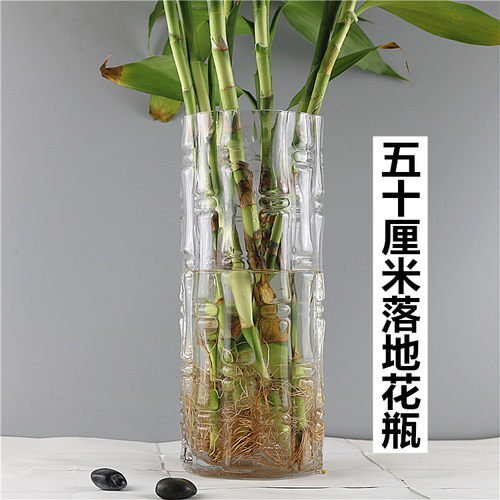 特大号直筒花瓶玻璃透明高50cm插花大号客厅摆件水培富贵竹落地 - 封面
