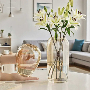 轻奢高级感玻璃花瓶大号玫瑰百合鲜花摆件插花客厅居家装饰水培