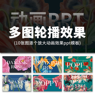 高级感简约多图片轮播逐个放大平滑切换动画效果展示动态ppt模板