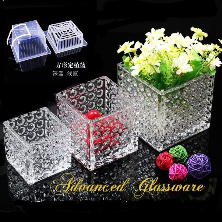 加厚方形珠点菱形竖条花器绿萝铜钱草水培盆玻璃花瓶大号桌面摆件