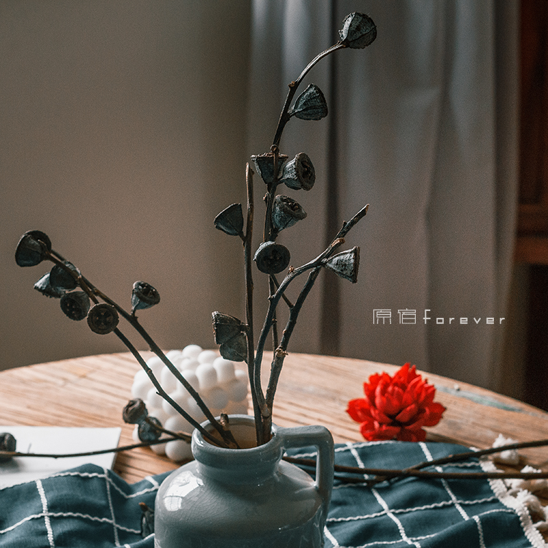 天然植物尤加利果插花束干树枝