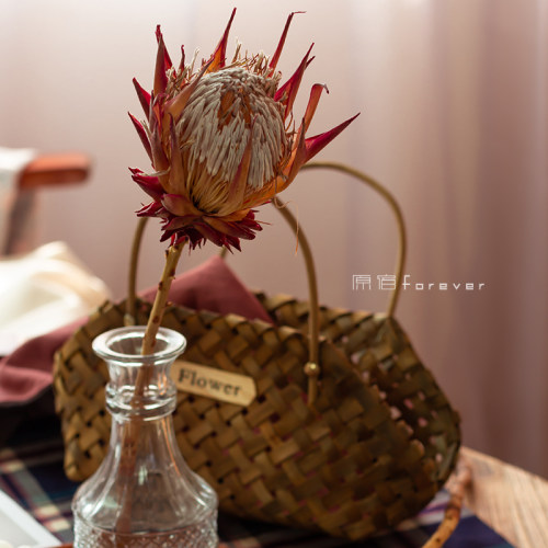 南非进口高端帝王干花民宿装饰