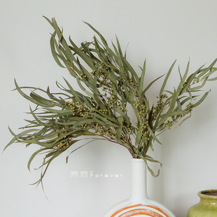 天然真花风干小米叶干花花束插花搭配系装饰花材摆设尤加利叶细叶