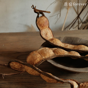 天然榼藤豆荚干花民宿复古装饰摆件手工Diy材料家居装饰一物一拍