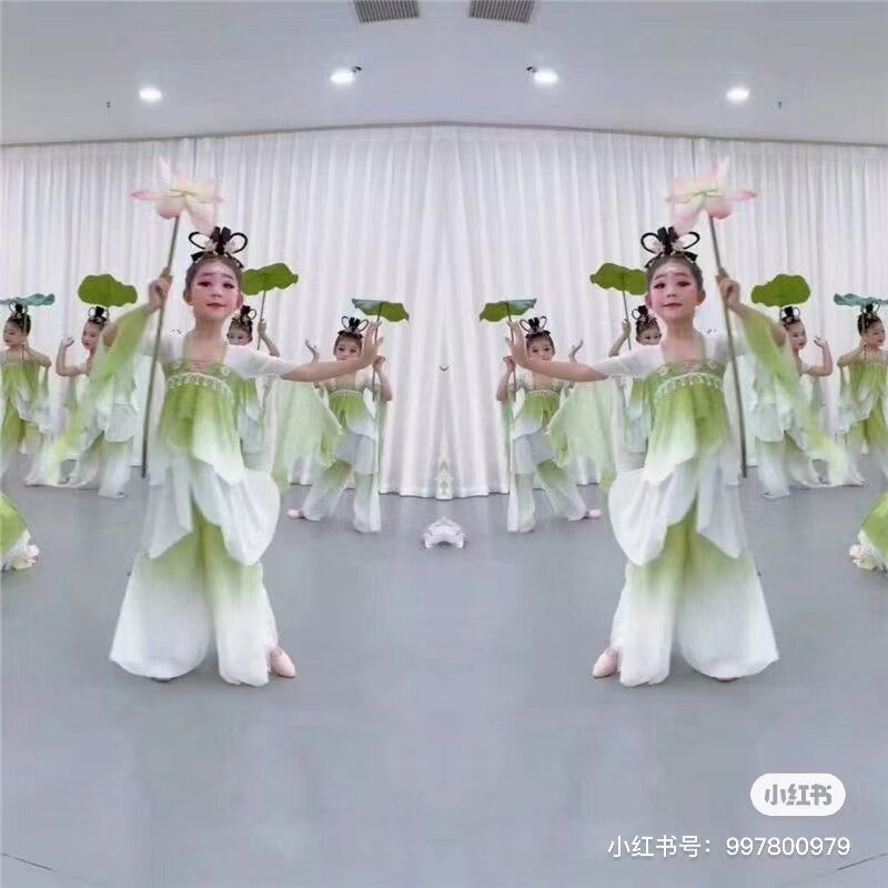 儿童古典舞演出服中国风舞蹈服荷花伞舞古风身韵渐变纱衣练功服女