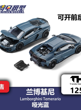TH 1:64 #125 兰博基尼 新小牛Temerario 哑光蓝色 合金汽车模型