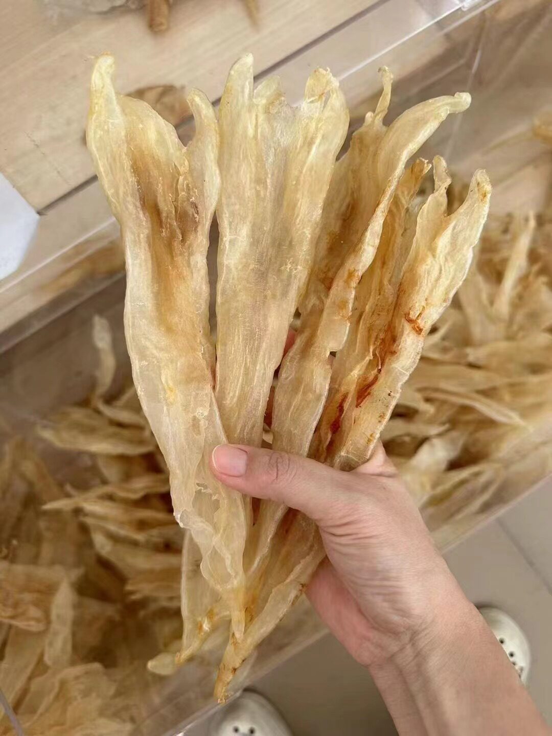 精选北海厚肉清水阴阳鱼胶鳌鱼花胶孕妇月子宝宝滋补上品