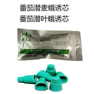 潜叶蛾诱芯诱捕器番茄潜麦蛾潜叶蛾诱芯诱捕器西红柿大棚用