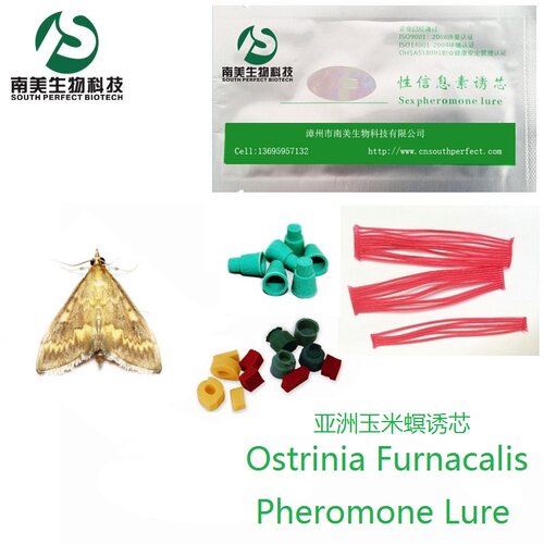 20粒亚洲玉米螟诱芯 昆虫信息素引诱剂 性诱剂  包邮