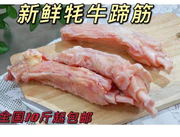 新鲜速冻生牦牛蹄筋 牛筋高原耗牛蹄筋老人小孩补钙食用