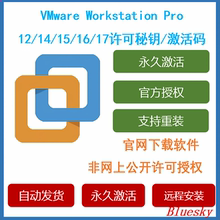 VMware Workstation Pro 12 14 15 16 17 序列号激活密钥许可证