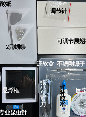 固定针镊子硫酸纸各种蝴蝶昆虫