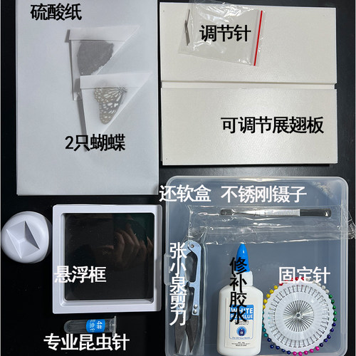 固定针镊子硫酸纸各种蝴蝶昆虫