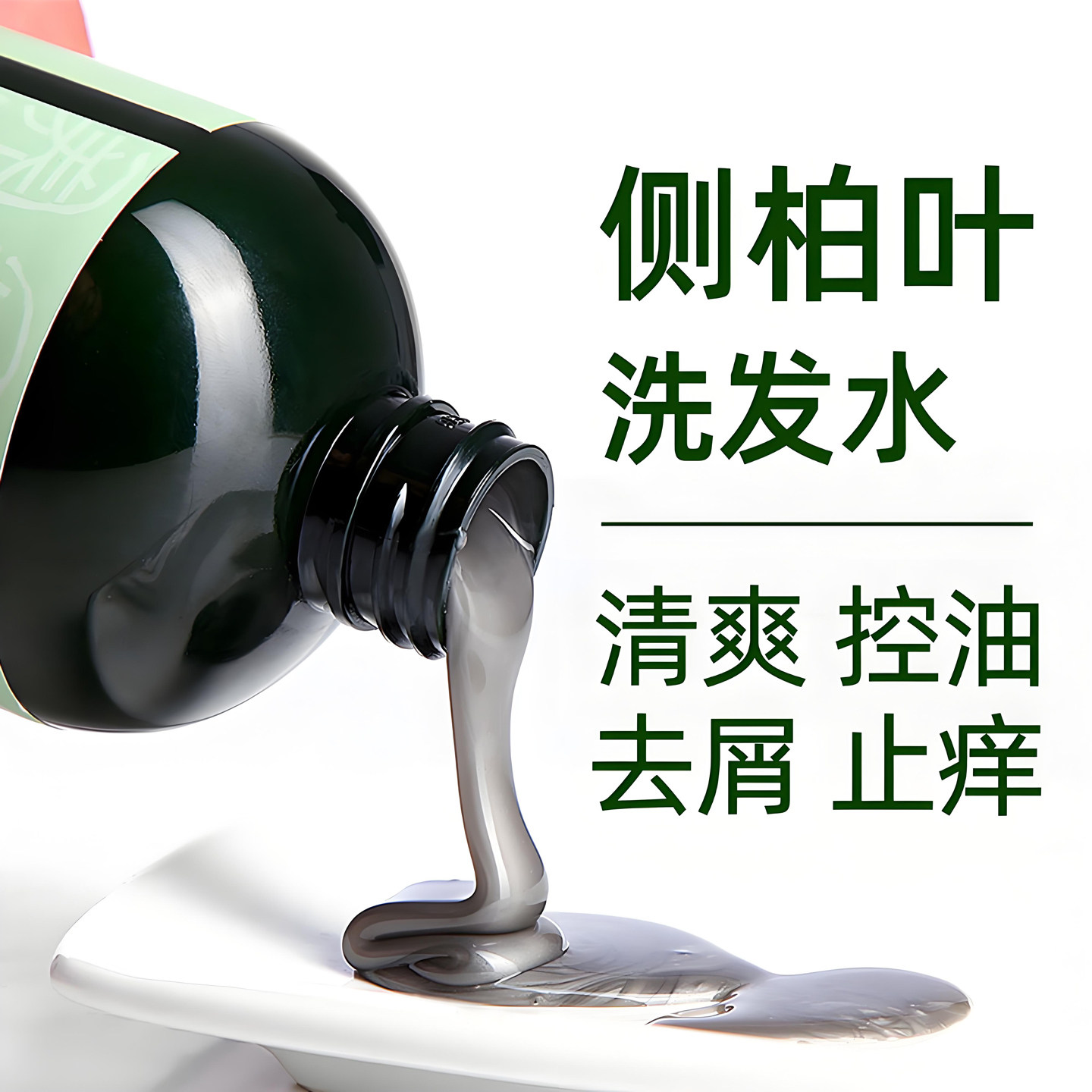 侧柏叶洗发水液生姜汁油性头皮洗露去油蓬松女男士脂溢性控油正品
