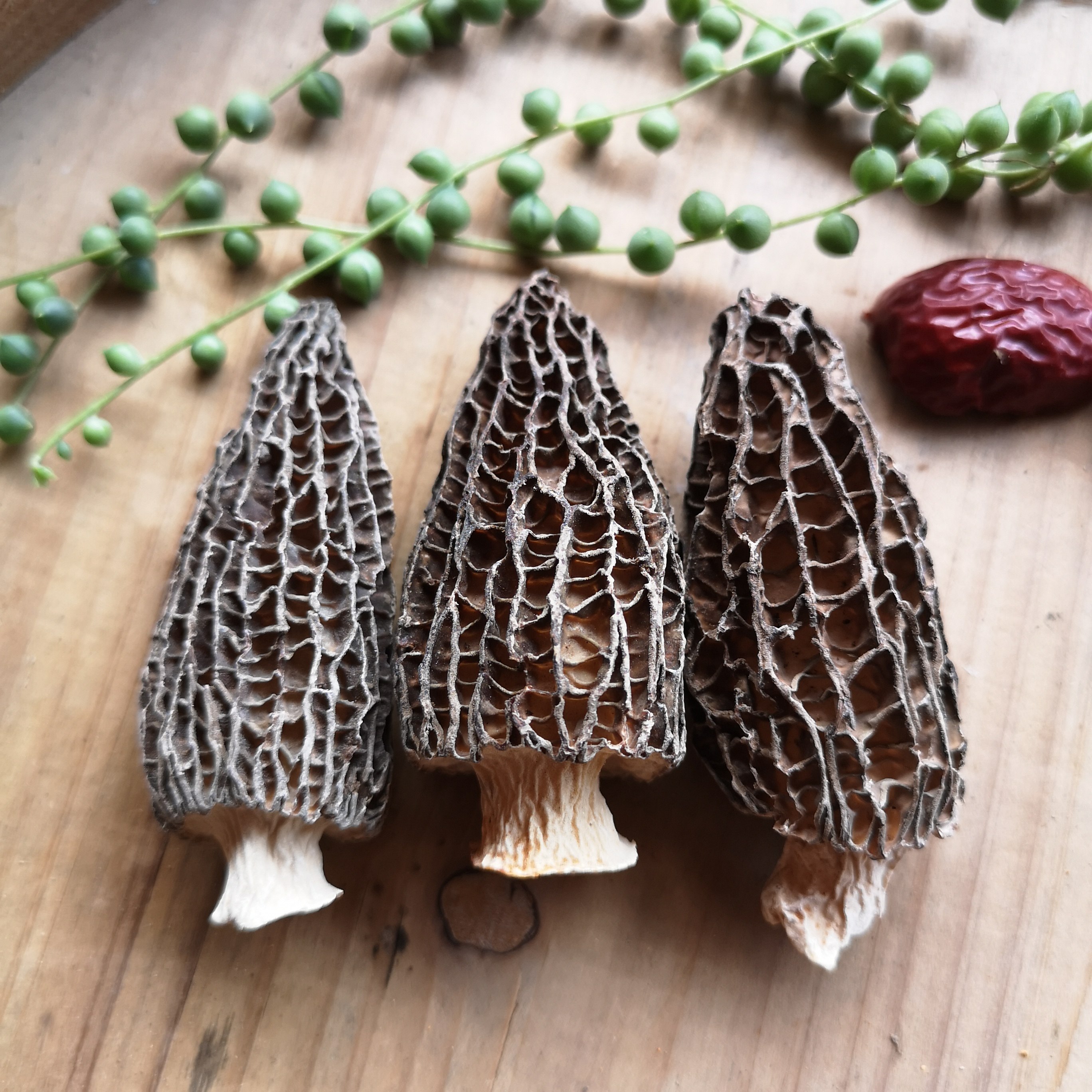 2024云南头茬羊肚菌干货250g野生菌新鲜羊肚菇蘑菇煲汤食材特产