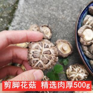 古田花菇剪脚500g肉厚脆嫩香菇冬菇干货非椴木珍珠菇金钱菇蘑菇