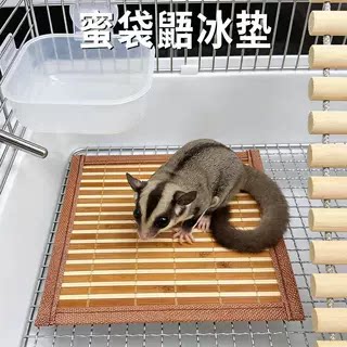 蜜袋鼯夏季消暑降温冰垫凉席