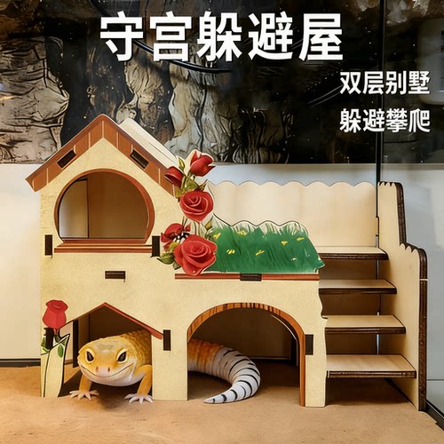 睫角豹纹守宫双层别墅躲避屋