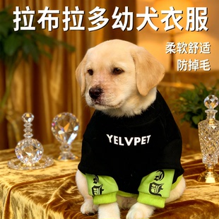 拉布拉多幼犬衣服专用冬装狗小奶狗防掉毛小型犬宠物加绒卫保暖衣