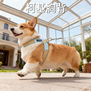 柯基专用 Y 字型背心式胸背带中型犬外出防咬马鞍式宠物用品