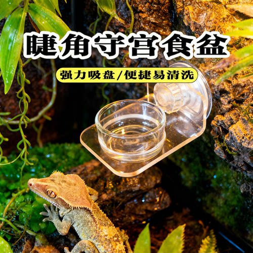爬宠专用吸盘式可调节喂食盆
