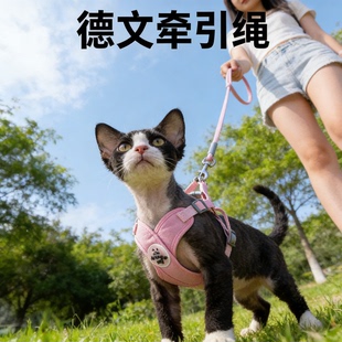 德文牵引绳小猫咪专用防挣脱外出用背心式胸背卷毛幼猫斯芬克斯猫