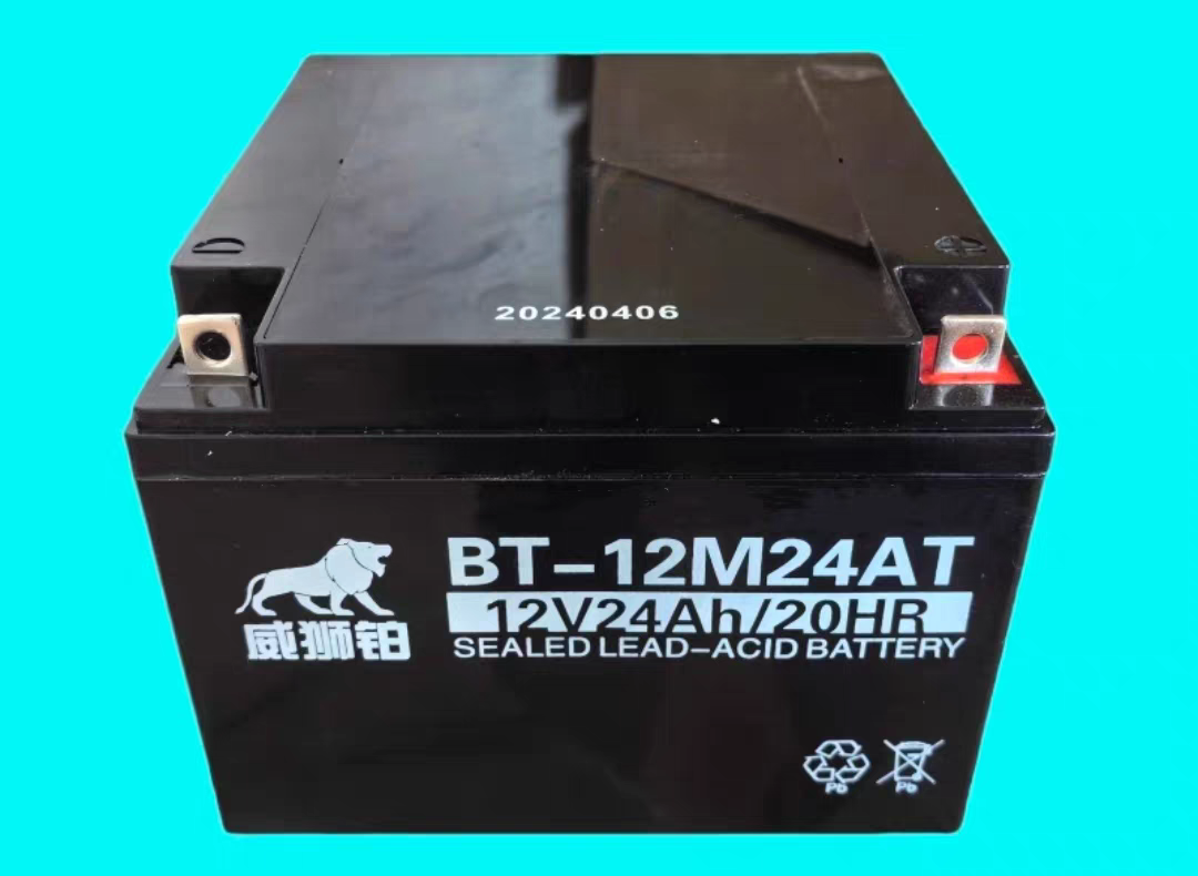 威狮铂蓄电池12V24AH消防主机铅酸免维护应急备用设备ups直流屏