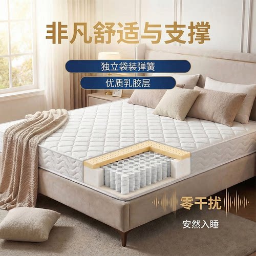 大师连锁偏硬纯棉面料棕榈床垫