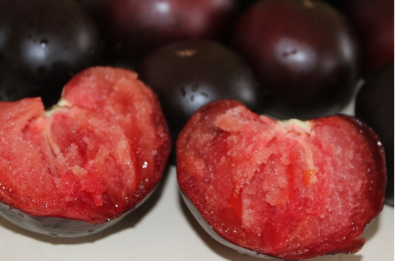 204紫水晶之心5粒种子38包邮